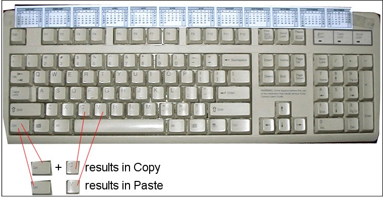 how to copy and paste on keyboard